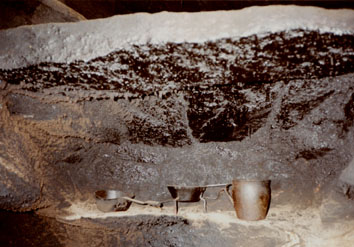 eika image